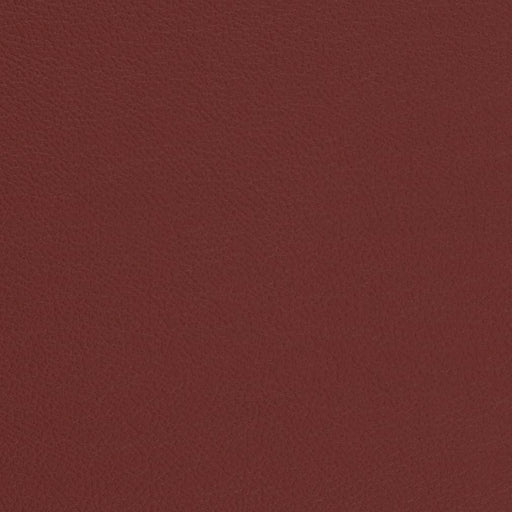 Charlotte - V690 - Currant - Fabric by the Yard Currant