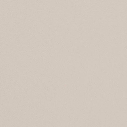 Charlotte - V691 - Pearl - Fabric by the Yard Pearl