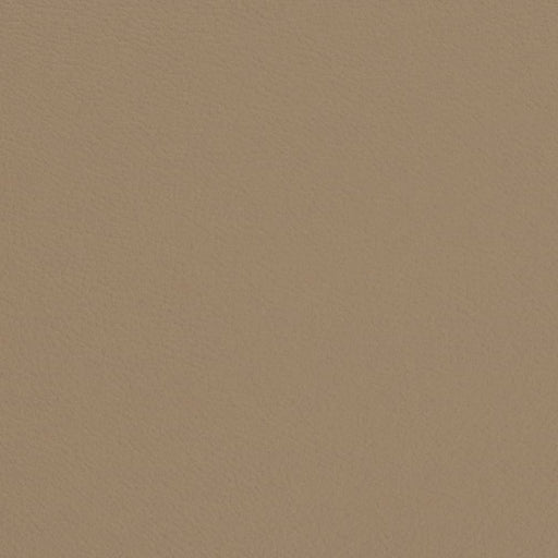 Charlotte - V692 - Mushroom - Fabric by the Yard Mushroom