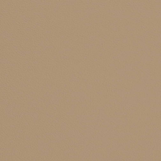 Charlotte - V693 - Sand - Fabric by the Yard Sand