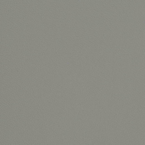 Charlotte - V694 - Dolphin - Fabric by the Yard Dolphin