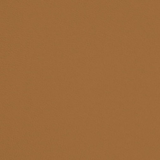 Charlotte - V696 - Butterscotch - Fabric by the Yard Butterscotch