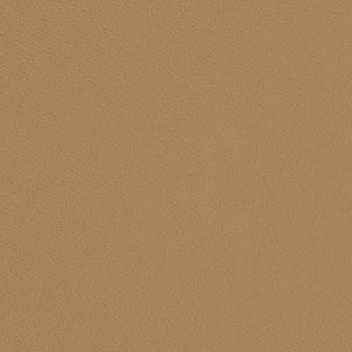 Charlotte - V697 - Khaki - Fabric by the Yard Khaki