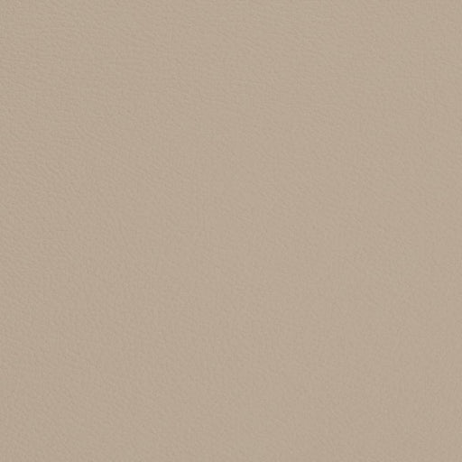 Charlotte - V698 - Dove - Fabric by the Yard Dove