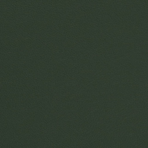 Charlotte - V699 - Evergreen - Fabric by the Yard Evergreen