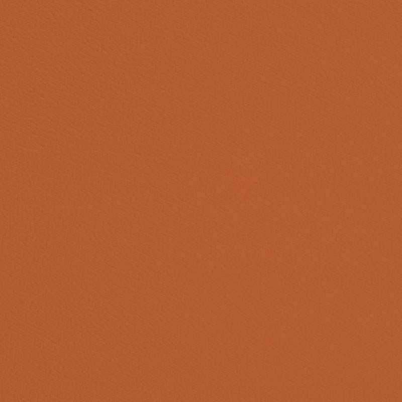 Charlotte - V700 - Marmalade - Fabric by the Yard Marmalade