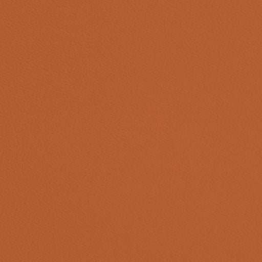 Charlotte - V700 - Marmalade - Fabric by the Yard Marmalade