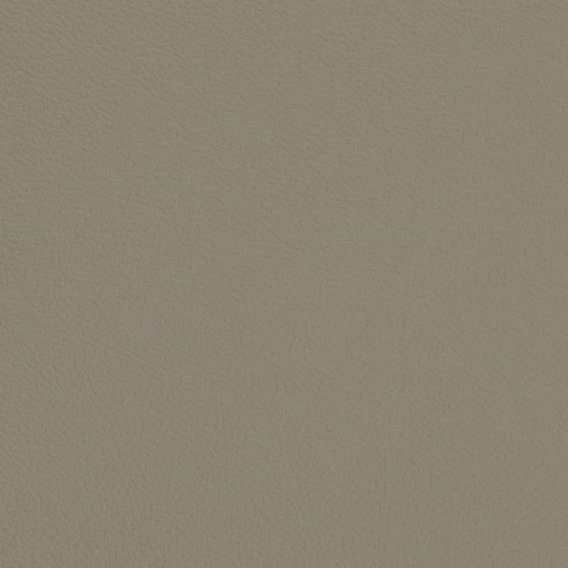Charlotte - V701 - Stone - Fabric by the Yard Stone