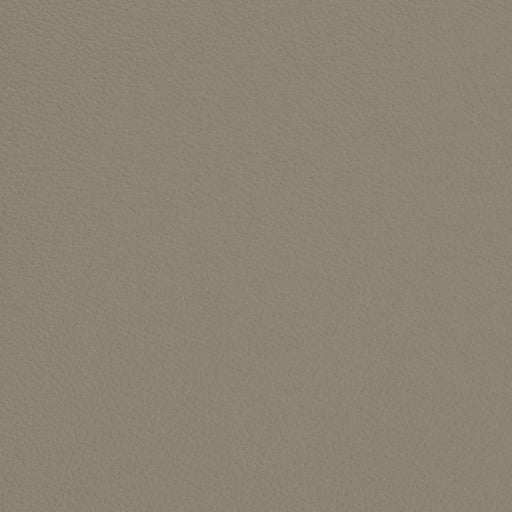 Charlotte - V701 - Stone - Fabric by the Yard Stone