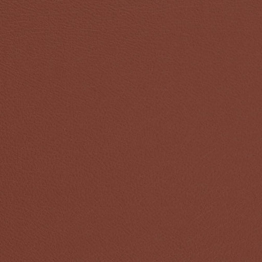 Charlotte - V702 - Brick - Fabric by the Yard Brick