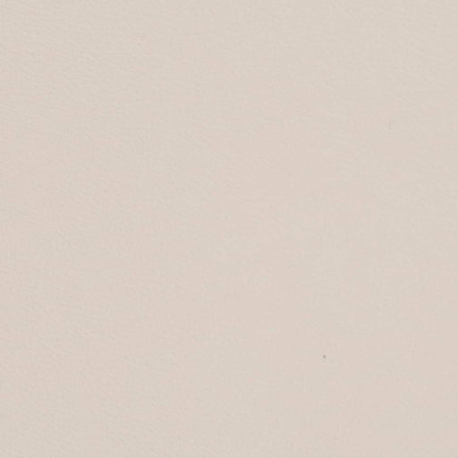 Charlotte - V703 - Snow Cap - Fabric by the Yard Snow Cap