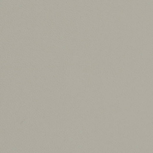 Charlotte - V704 - Honeydew - Fabric by the Yard Honeydew