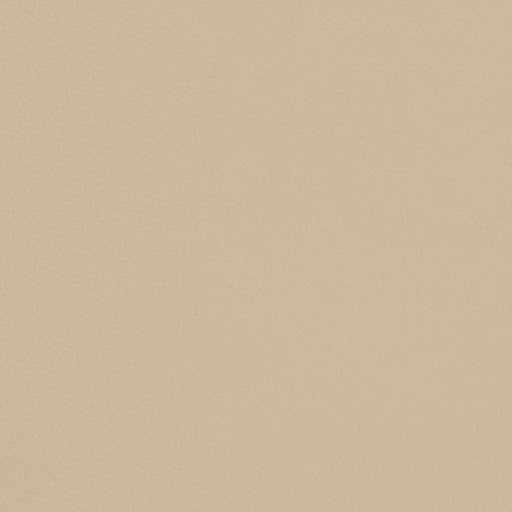 Charlotte - V707 - Bone - Fabric by the Yard Bone
