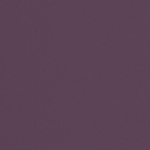 Charlotte - V709 - Plum - Fabric by the Yard Plum