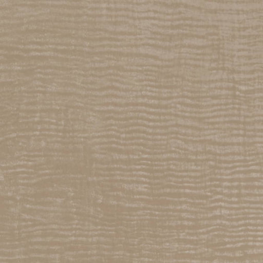Charlotte - V728 - Taupe - Fabric by the Yard Taupe