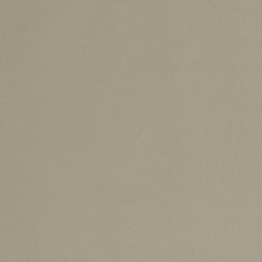 Charlotte - V753 - Stone - Fabric by the Yard Stone