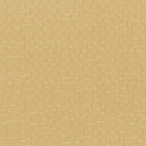 Charlotte - V754 - Butter - Fabric by the Yard Butter