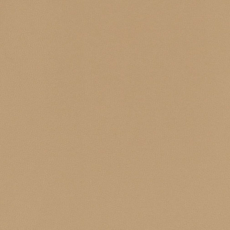 Charlotte - V781 - Fawn - Fabric by the Yard Fawn