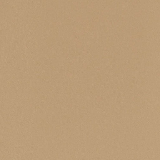 Charlotte - V781 - Fawn - Fabric by the Yard Fawn