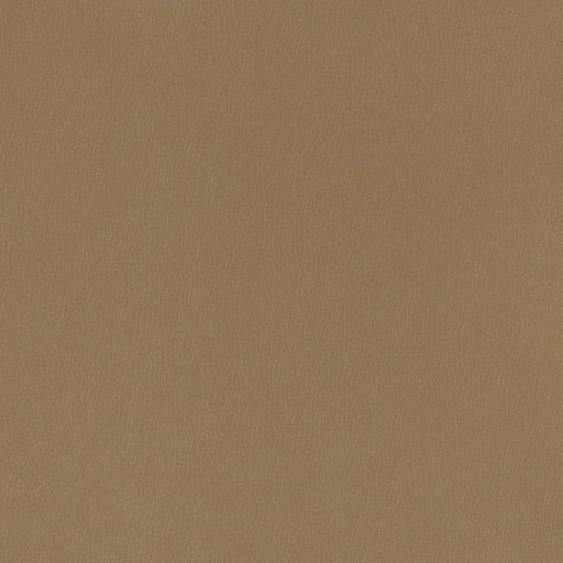 Charlotte - V782 - Hazelnut - Fabric by the Yard Hazelnut