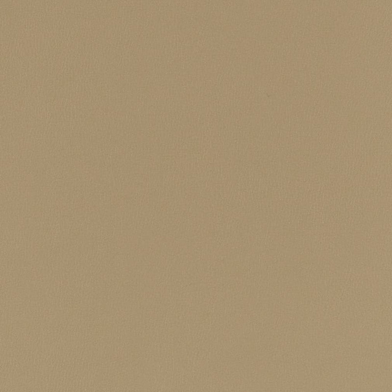 Charlotte - V783 - Dove - Fabric by the Yard Dove