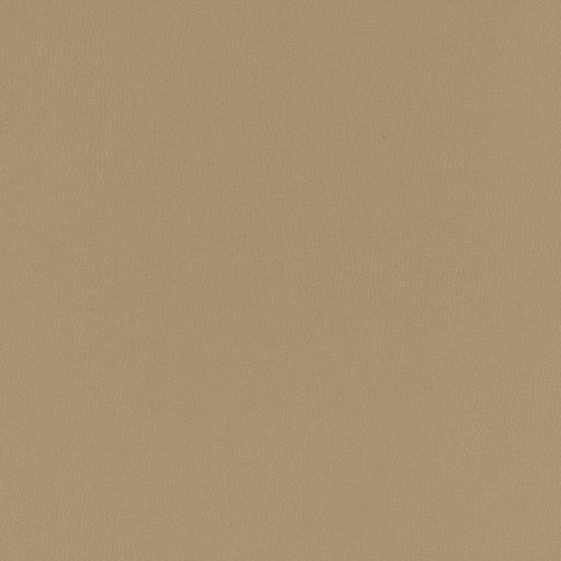 Charlotte - V783 - Dove - Fabric by the Yard Dove