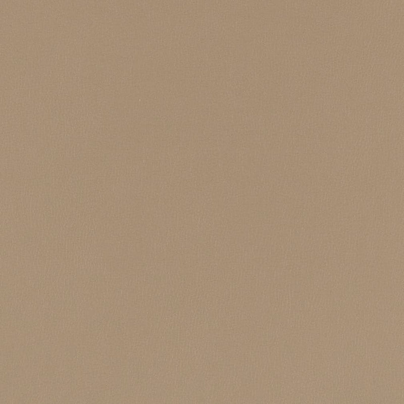 Charlotte - V784 - Pewter - Fabric by the Yard Pewter