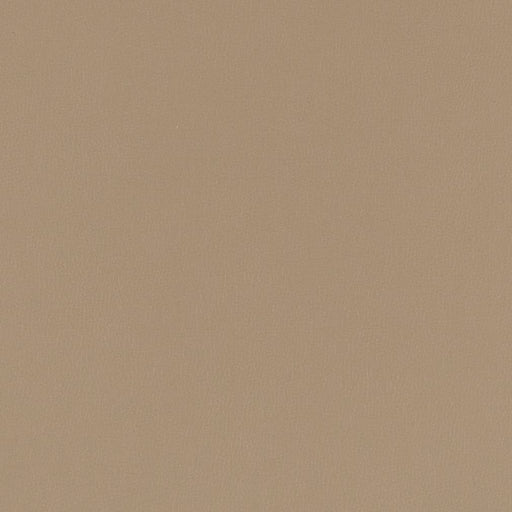 Charlotte - V784 - Pewter - Fabric by the Yard Pewter