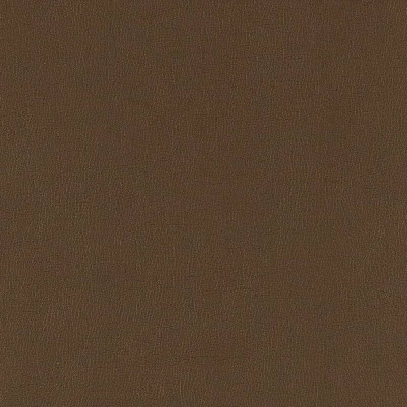 Charlotte - V785 - Java - Fabric by the Yard Java