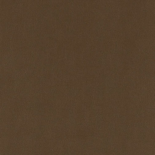 Charlotte - V785 - Java - Fabric by the Yard Java
