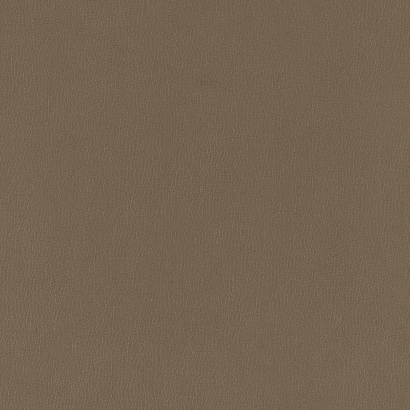 Charlotte - V786 - Iron - Fabric by the Yard Iron