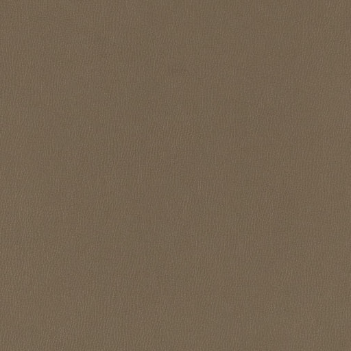 Charlotte - V786 - Iron - Fabric by the Yard Iron