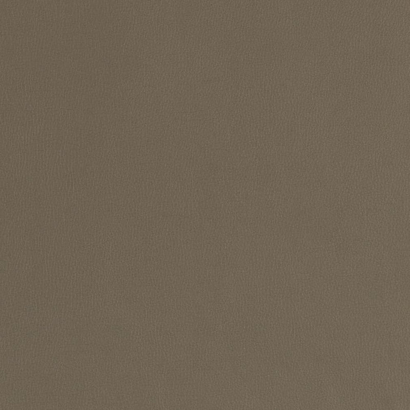 Charlotte - V787 - Ash - Fabric by the Yard Ash