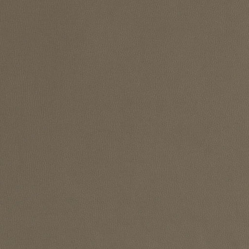 Charlotte - V787 - Ash - Fabric by the Yard Ash