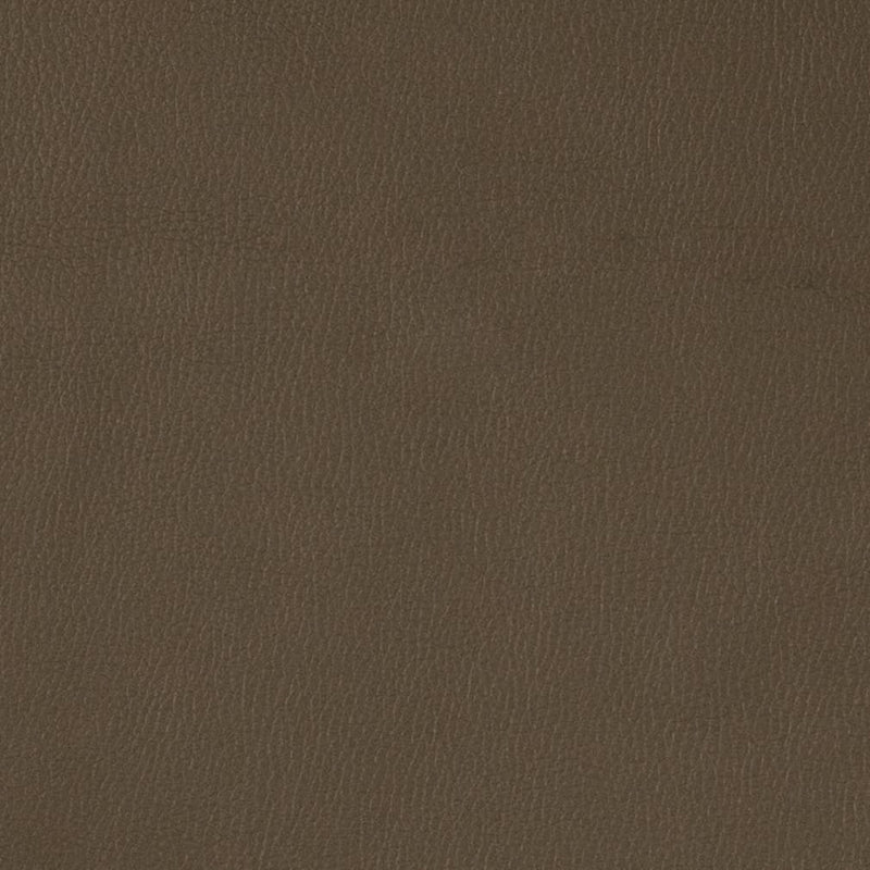 Charlotte - V788 - Graphite - Fabric by the Yard Graphite