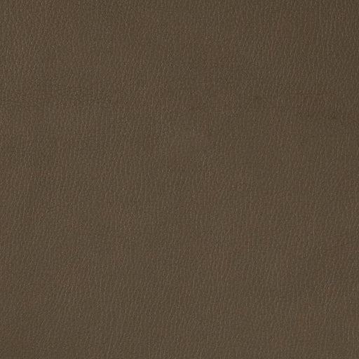 Charlotte - V788 - Graphite - Fabric by the Yard Graphite