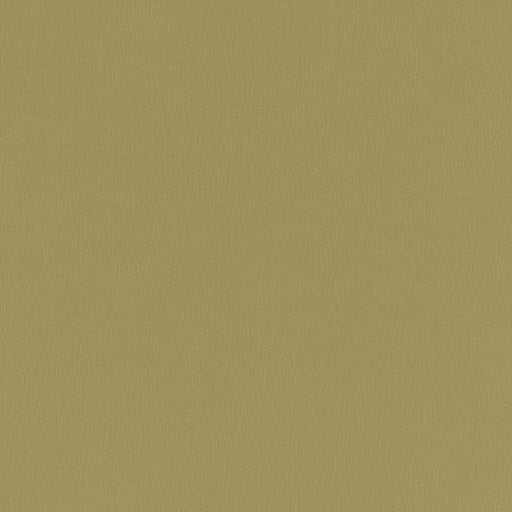 Charlotte - V790 - Moss - Fabric by the Yard Moss