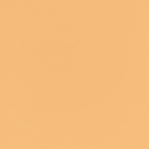 Charlotte - V791 - Straw - Fabric by the Yard Straw