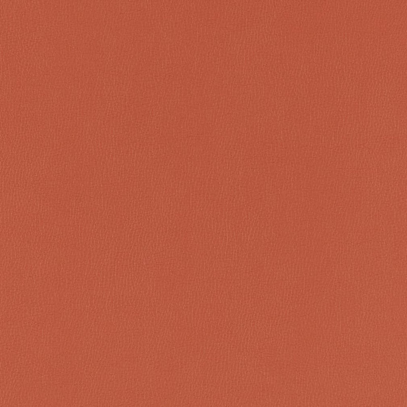Charlotte - V793 - Chili - Fabric by the Yard Chili