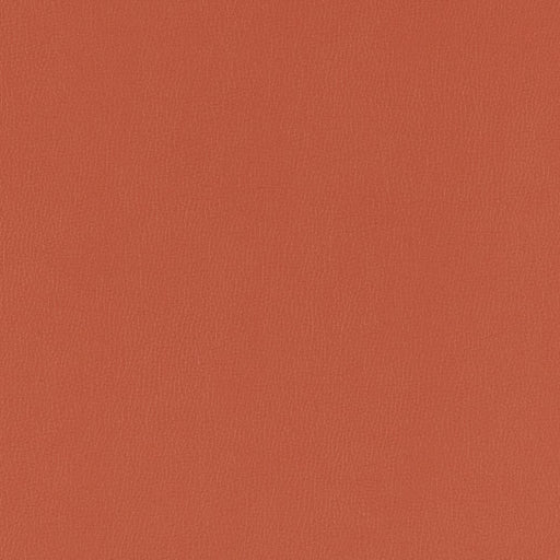 Charlotte - V793 - Chili - Fabric by the Yard Chili