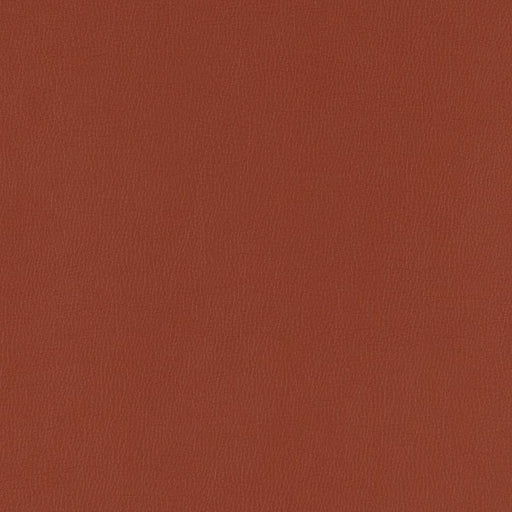 Charlotte - V794 - Brick - Fabric by the Yard Brick