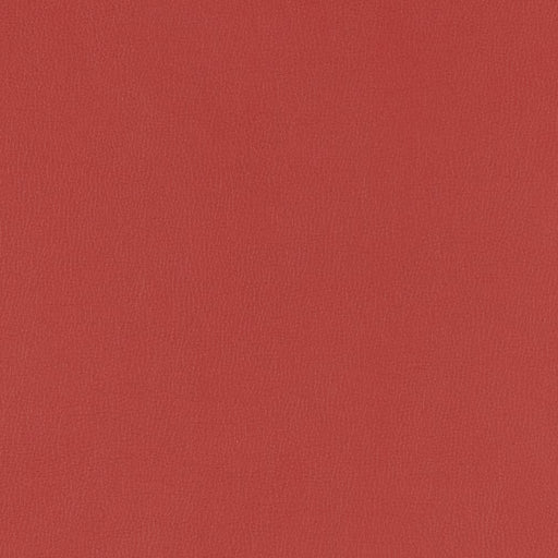 Charlotte - V795 - Berry - Fabric by the Yard Berry