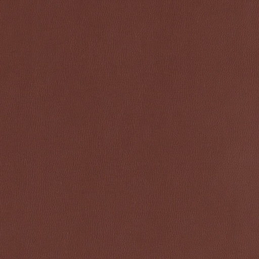 Charlotte - V796 - Wine - Fabric by the Yard Wine