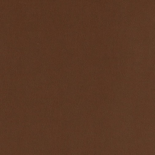 Charlotte - V797 - Chocolate - Fabric by the Yard Chocolate