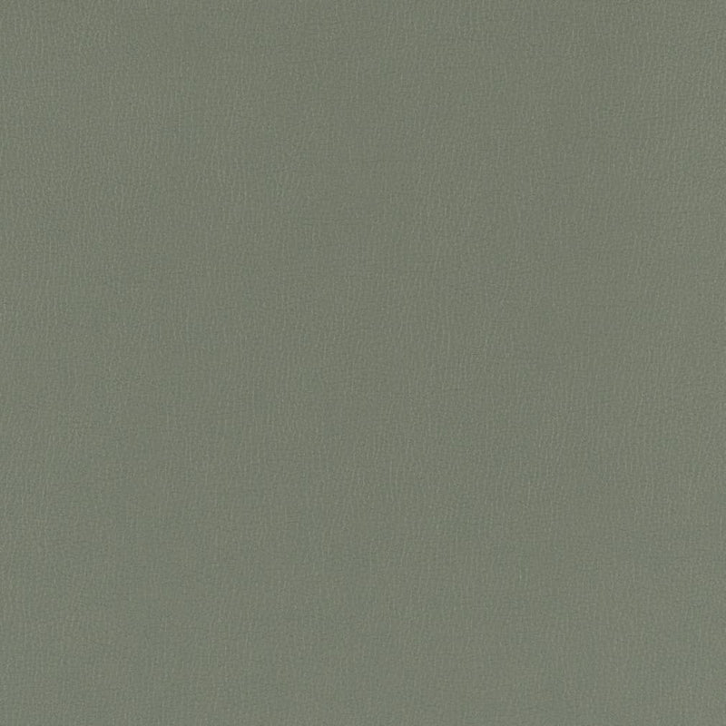 Charlotte - V798 - Slate - Fabric by the Yard Slate