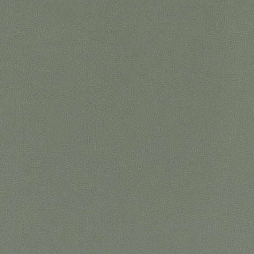 Charlotte - V798 - Slate - Fabric by the Yard Slate