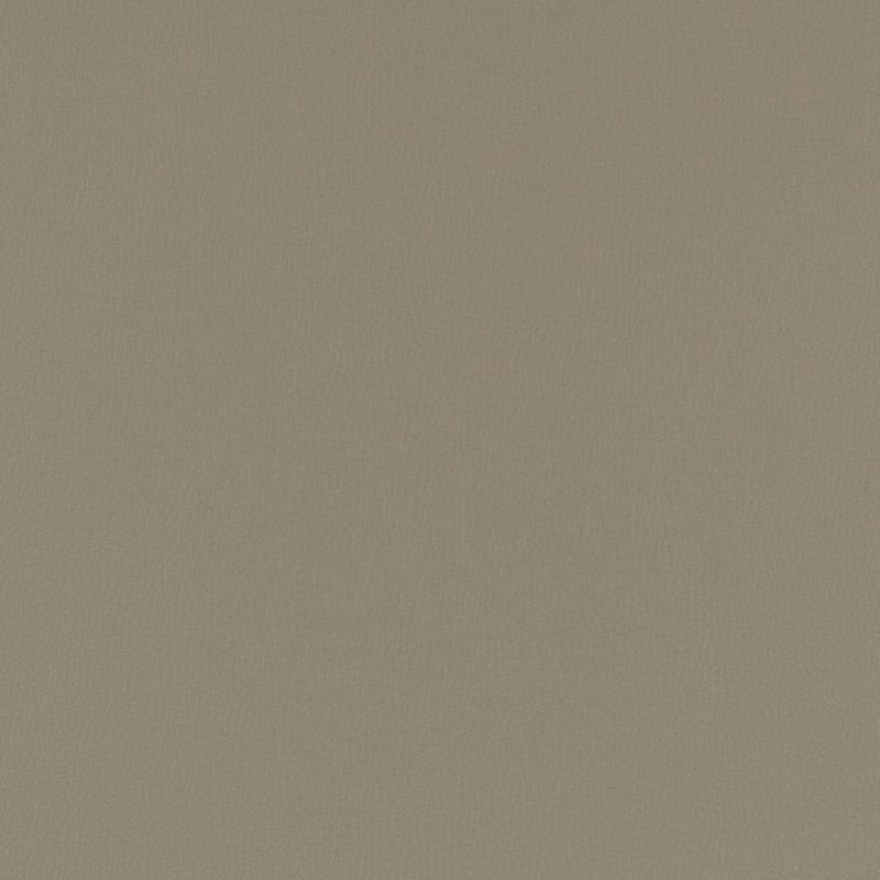 Charlotte - V800 - Steel - Fabric by the Yard Steel