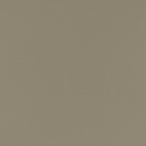 Charlotte - V800 - Steel - Fabric by the Yard Steel