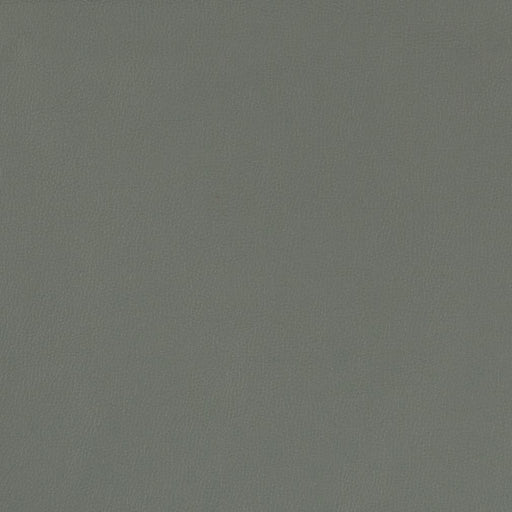 Charlotte - V801 - Coastal - Fabric by the Yard Coastal