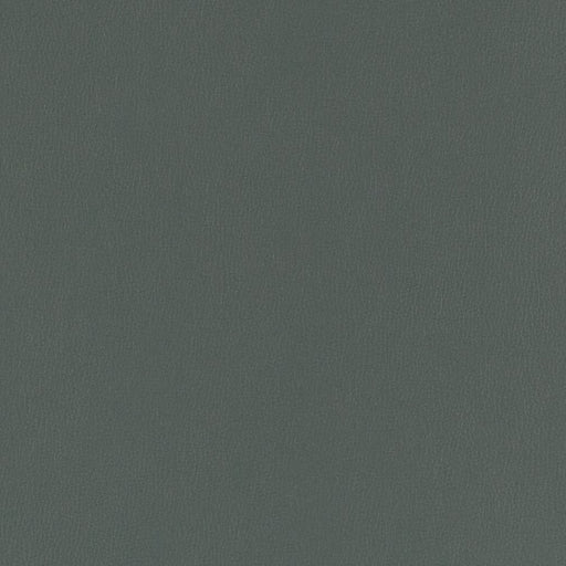 Charlotte - V802 - Aegean - Fabric by the Yard Aegean
